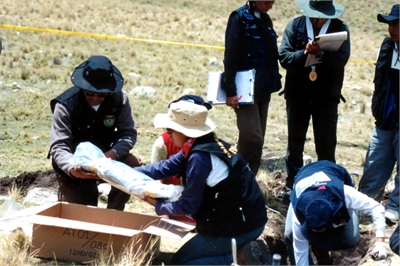 [ai] A group of individuals at a dig site, handling a wrapped object being removed from a cardboard box. Some team members record notes while others examine the surrounding area, wearing hats and vests for protection.